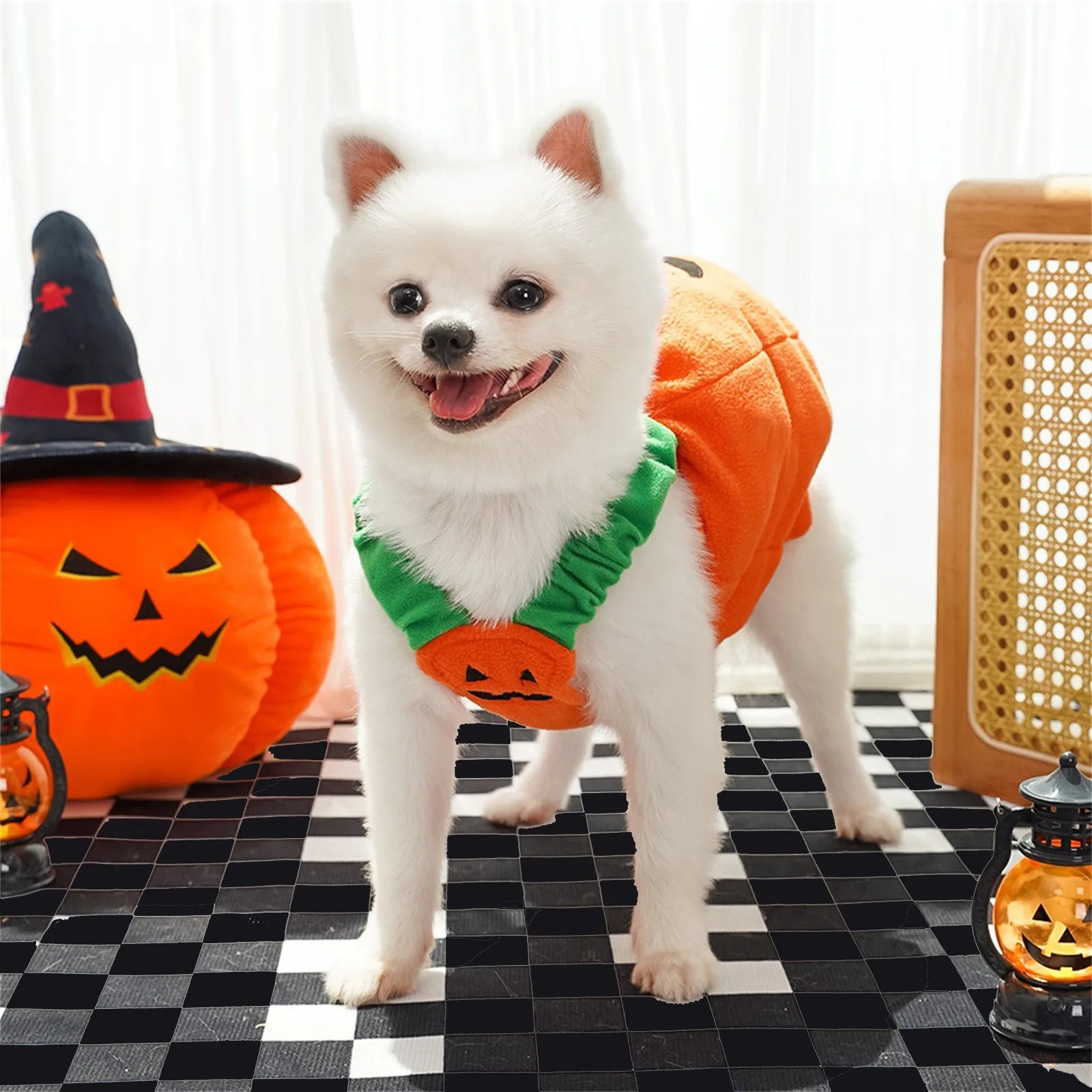Funny Dog Halloween Christmas Pumpkin Lantern Transformation Outfit Halloween Dog Cat Two Legged Pet Cute Pumpkin Hat Dog Jacket