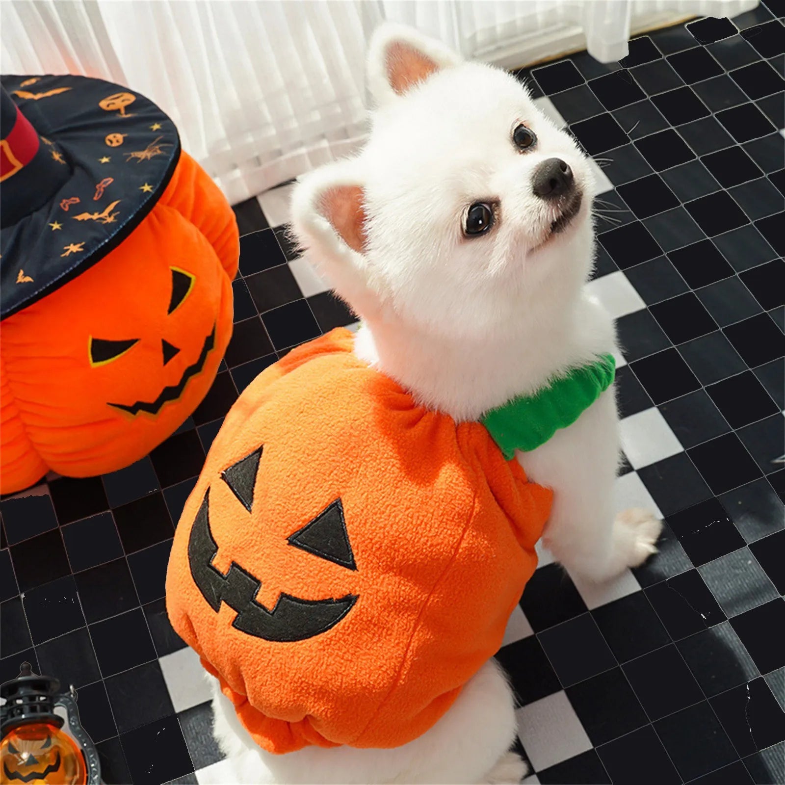 Funny Dog Halloween Christmas Pumpkin Lantern Transformation Outfit Halloween Dog Cat Two Legged Pet Cute Pumpkin Hat Dog Jacket
