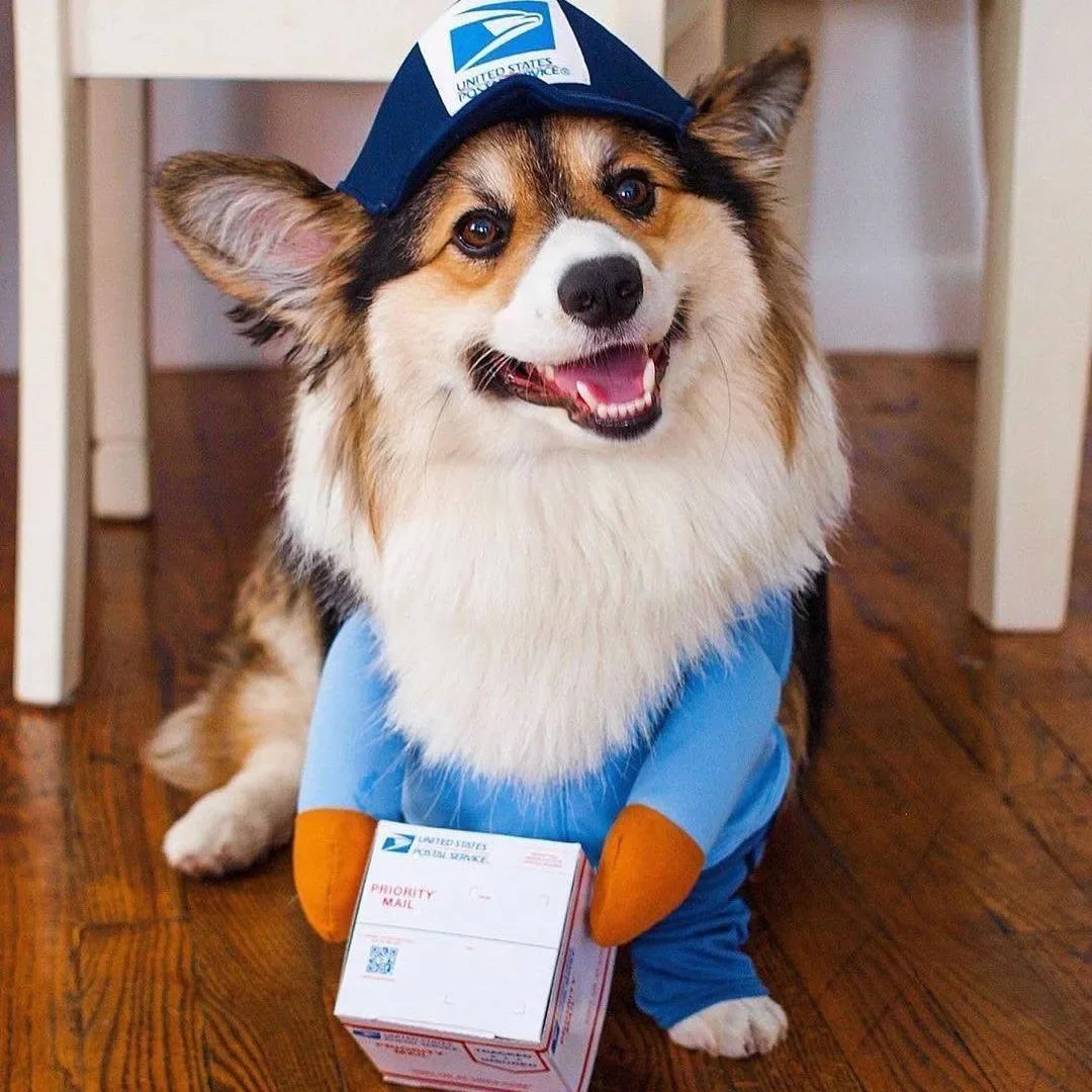 1Pc Pet Courier Costume Dress up Standing Outfit Pet Costumes Funny Dog Cat Cosplay Clothes Role Playing Halloween Decor Clothes