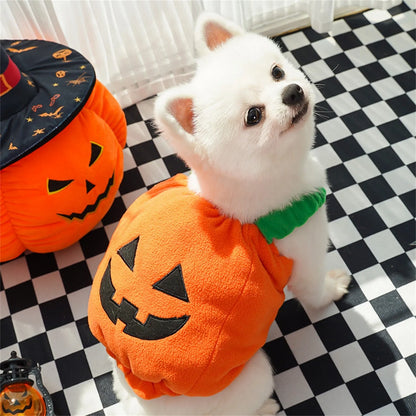 Funny Dog Halloween Christmas Pumpkin Lantern Transformation Outfit Halloween Dog Cat Two Legged Pet Cute Pumpkin Hat Dog Jacket