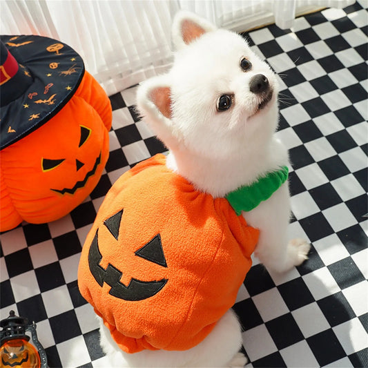 Funny Dog Halloween Christmas Pumpkin Lantern Transformation Outfit Halloween Dog Cat Two Legged Pet Cute Pumpkin Hat Dog Jacket
