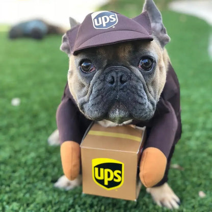1Pc Pet Courier Costume Dress up Standing Outfit Pet Costumes Funny Dog Cat Cosplay Clothes Role Playing Halloween Decor Clothes